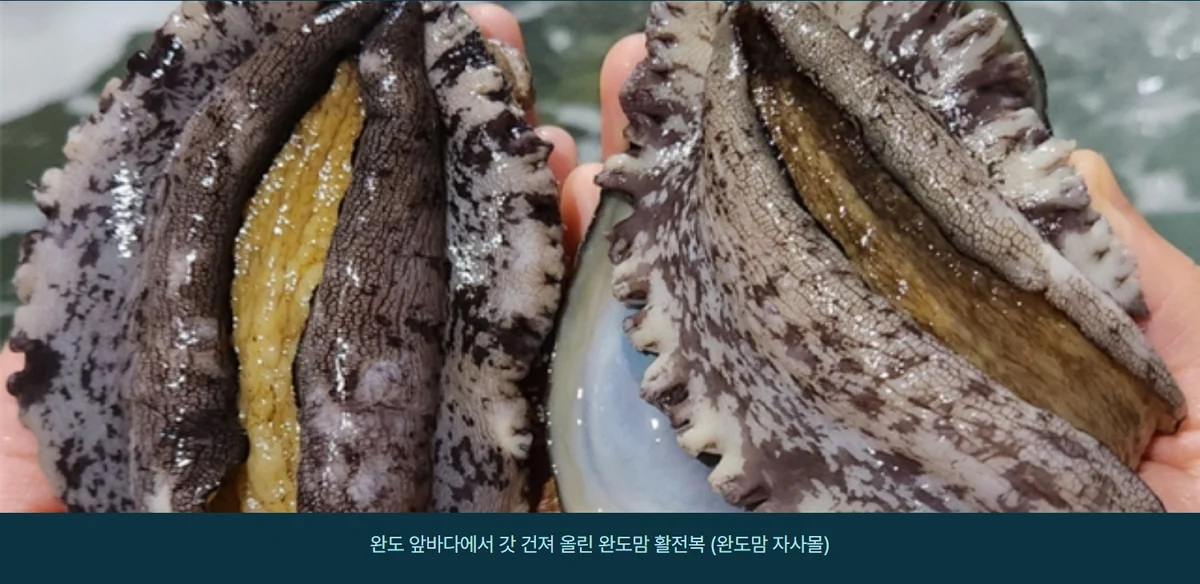 완도맘 간편해서 좋은 전복미역국 230g 상세 02